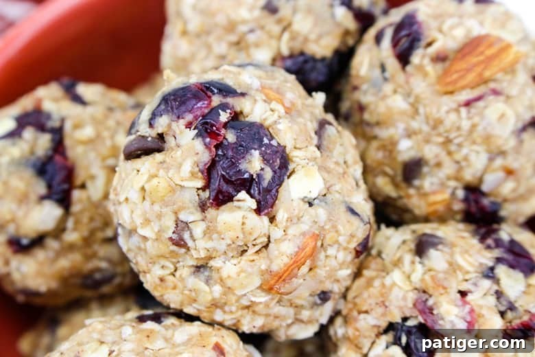 Close-up view of a single no-bake energy ball, highlighting its rich texture and ingredients.