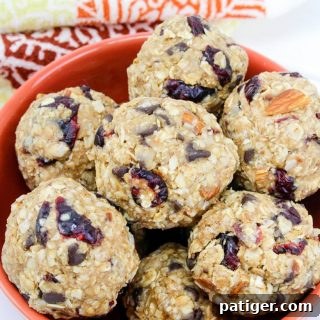 A bowl filled with wholesome trail mix protein balls, garnished with a few loose ingredients.