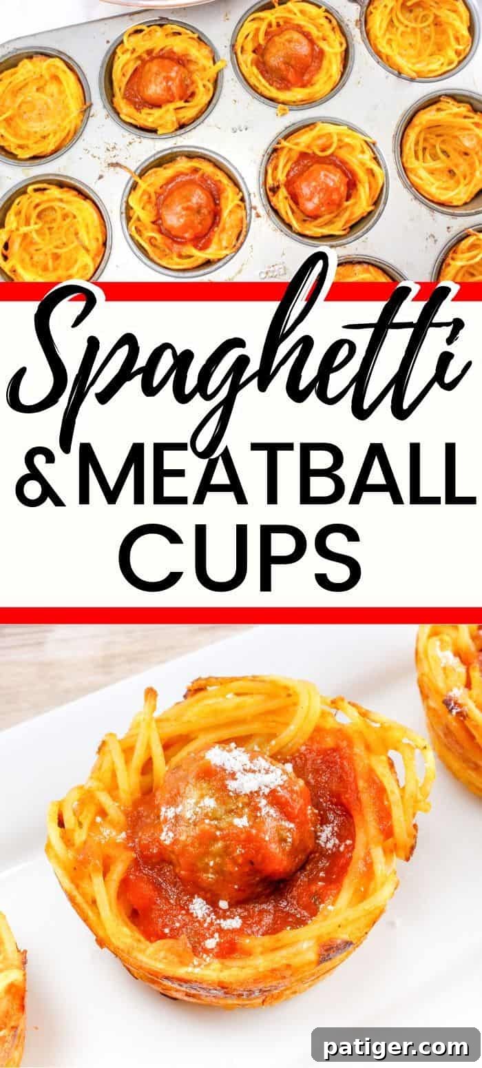 Spaghetti and Meatball Nests 12 Spaghetti and Meatball Cups Pin