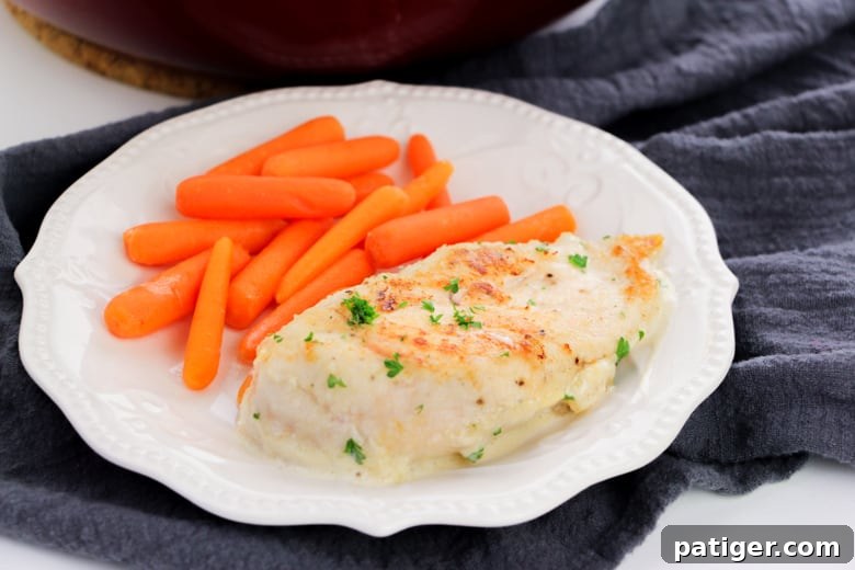 Serving of creamy garlic chicken and carrots on a white plate with dark blue napkin