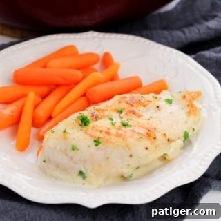 Creamy garlic chicken and carrots on white plate with dark blue napkin