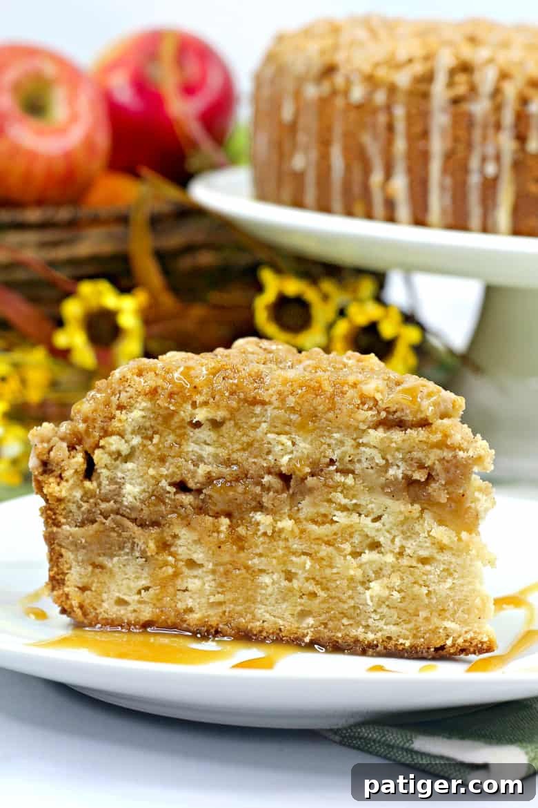 Salted Caramel Apple Crumb Cake Recipe