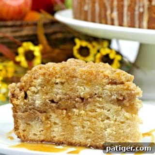 Salted Caramel Apple Crumb Cake Recipe