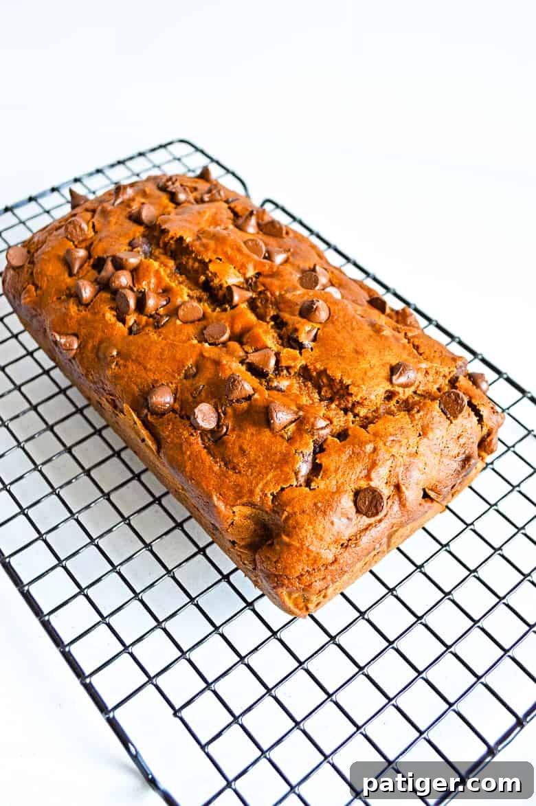 Heavenly Chocolate Chip Pumpkin Loaf 2 Delicious pumpkin chocolate chip bread cooling on a wire rack, showcasing its golden-brown crust and moist texture.