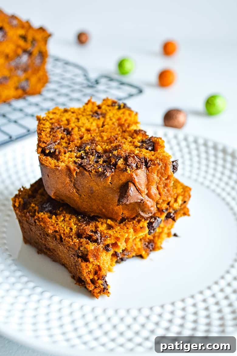 Heavenly Chocolate Chip Pumpkin Loaf 12 A freshly plated slice of homemade pumpkin chocolate chip bread, garnished for serving.