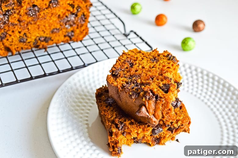 Heavenly Chocolate Chip Pumpkin Loaf 3 A slice of moist pumpkin chocolate chip bread served on a plate, ready to be enjoyed.