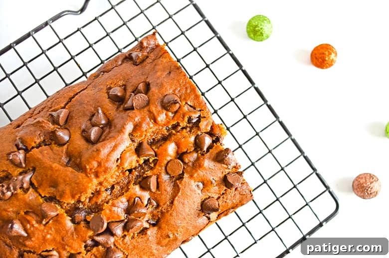 Heavenly Chocolate Chip Pumpkin Loaf 4 Freshly baked pumpkin chocolate chip bread cooling on a wire rack, steam gently rising.