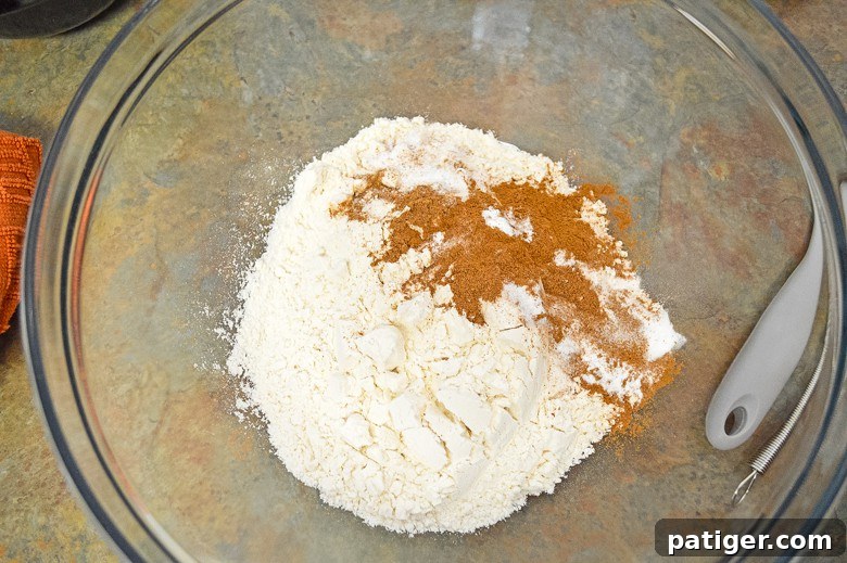 Heavenly Chocolate Chip Pumpkin Loaf 6 Dry ingredients for pumpkin chocolate chip bread being whisked together in a bowl.
