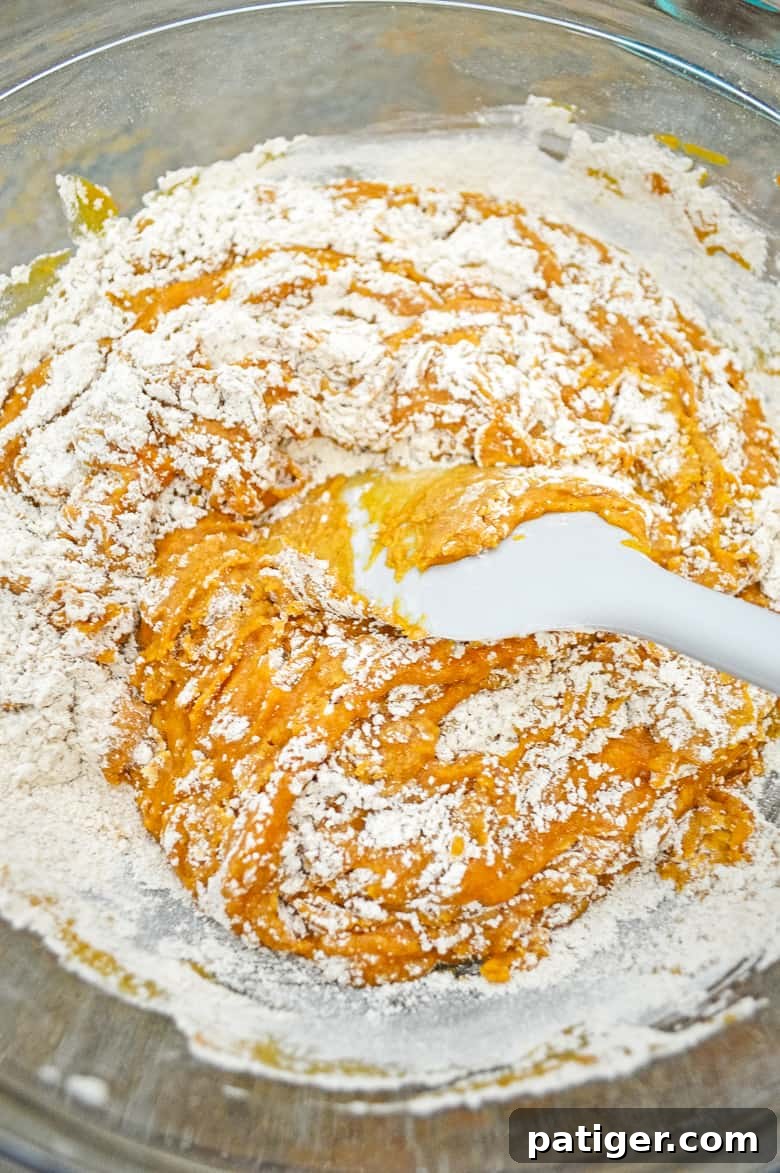 Heavenly Chocolate Chip Pumpkin Loaf 8 All the wet and dry ingredients for pumpkin chocolate chip bread combined in a large bowl, being gently mixed.