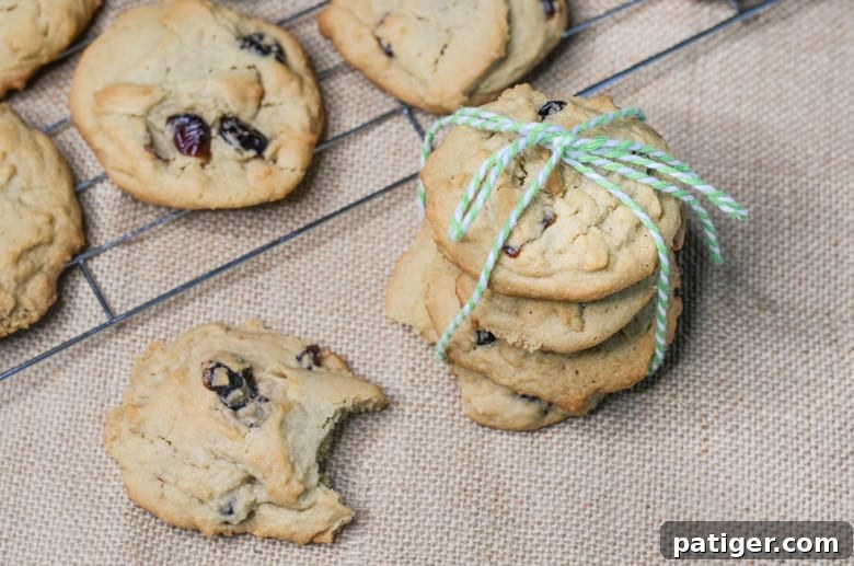 cranberry cookies tied with twine, close up of a delicious holiday treat