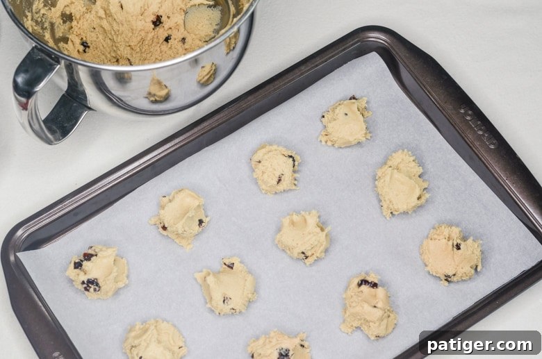 cranberry cookies dough laid out on a cookie sheet, ready for baking