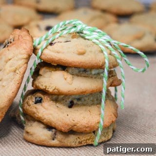 cranberry cookies tied with twine