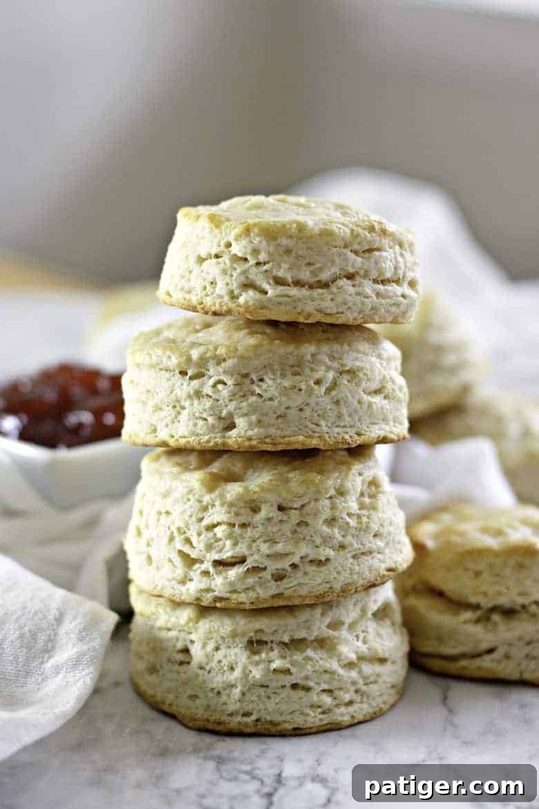 Fluffy Buttermilk Biscuits from Scratch 2 Stacked homemade buttermilk biscuits with golden brown tops, showcasing their perfect rise and flaky layers, ready to be served.