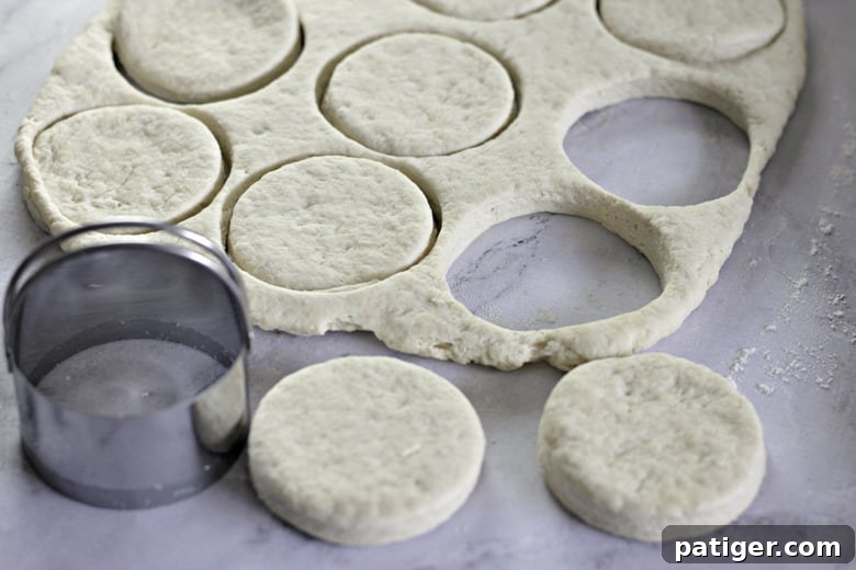 Fluffy Buttermilk Biscuits from Scratch 11 A hand using a round biscuit cutter to cut out circular shapes from rolled-out buttermilk biscuit dough.