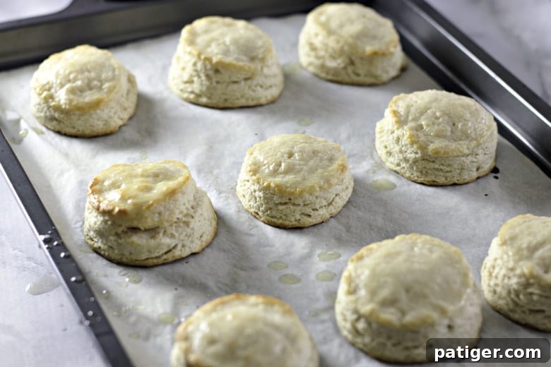 Fluffy Buttermilk Biscuits from Scratch 13 Buttermilk biscuits baking in the oven, rising and turning golden brown.