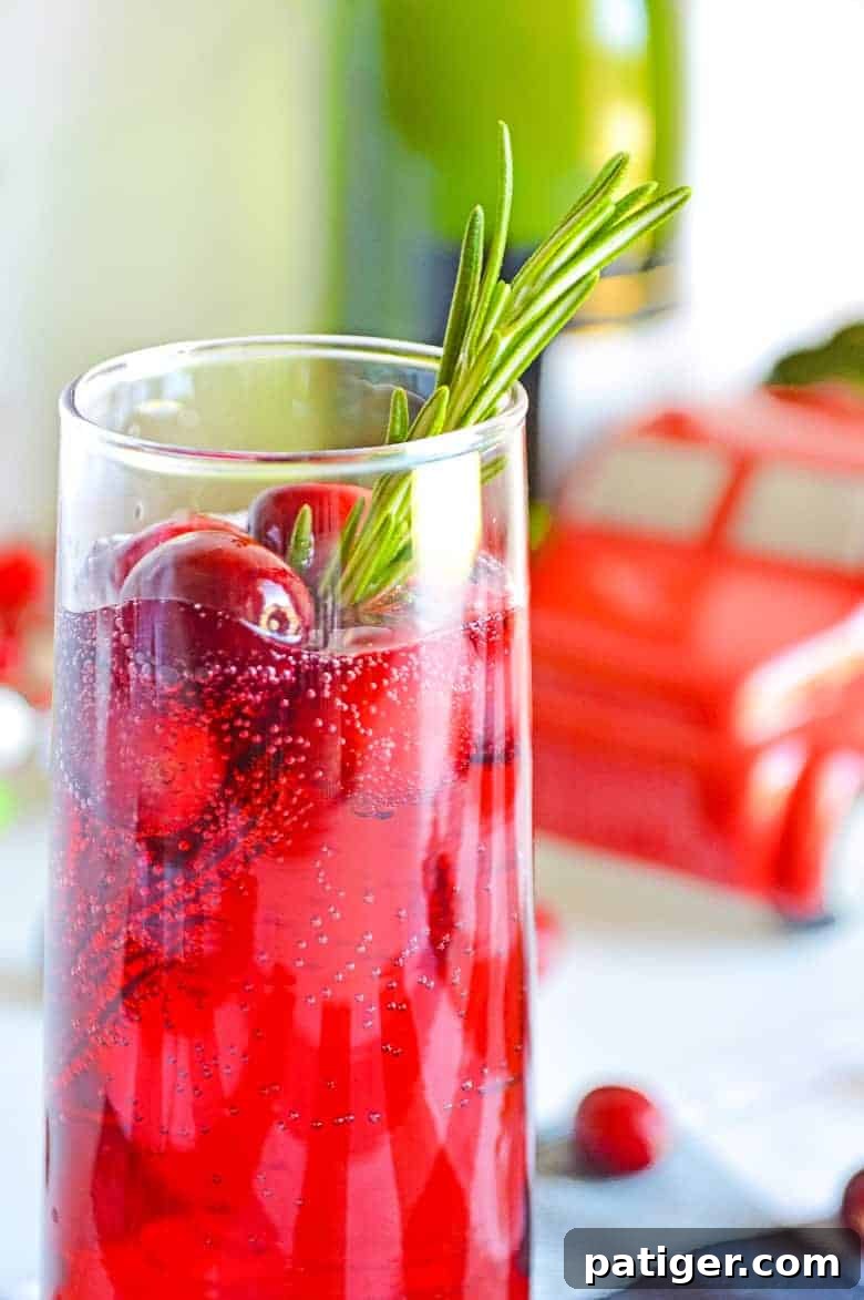 Ruby Sparkler 2 Close-up of a perfectly garnished Cranberry Mimosa in a flute