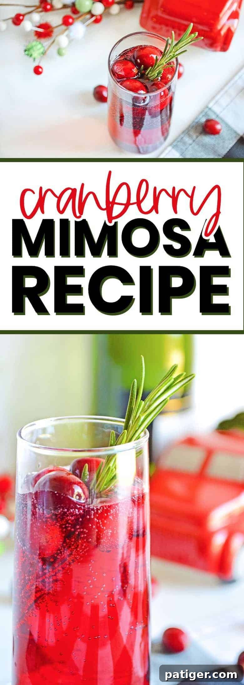 Ruby Sparkler 7 Pinterest-optimized image of a cranberry mimosa recipe for holidays
