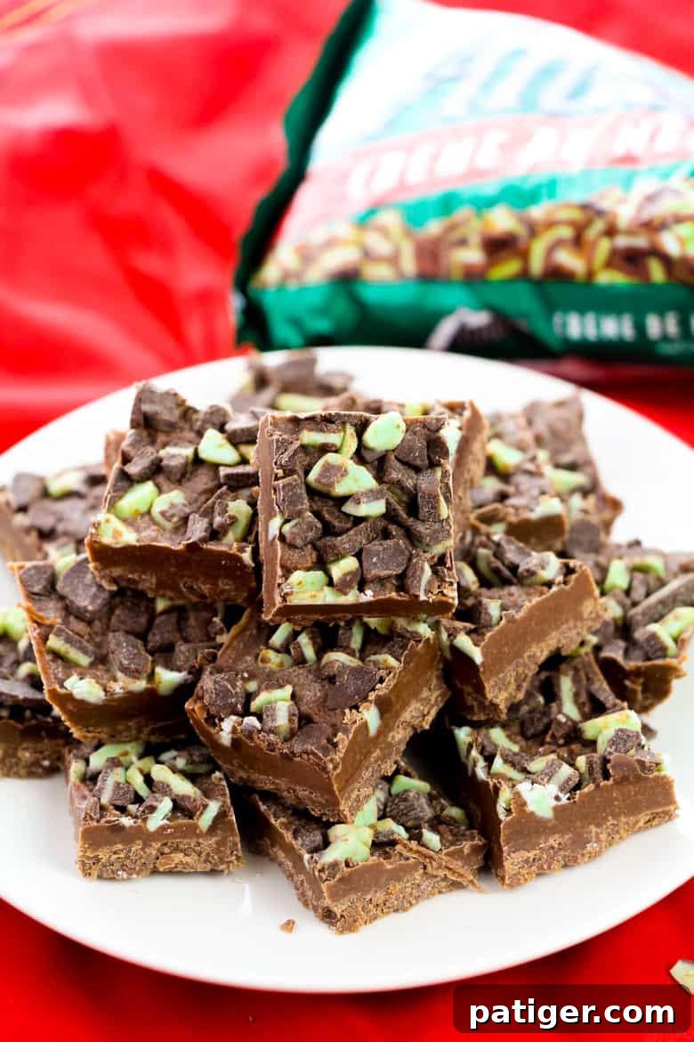 Decadent Mint Swirl Fudge 2 Andes Mint Fudge - Only 3 Ingredients!!!