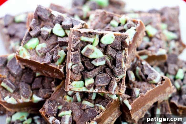 Decadent Mint Swirl Fudge 3 Mint Chocolate Fudge