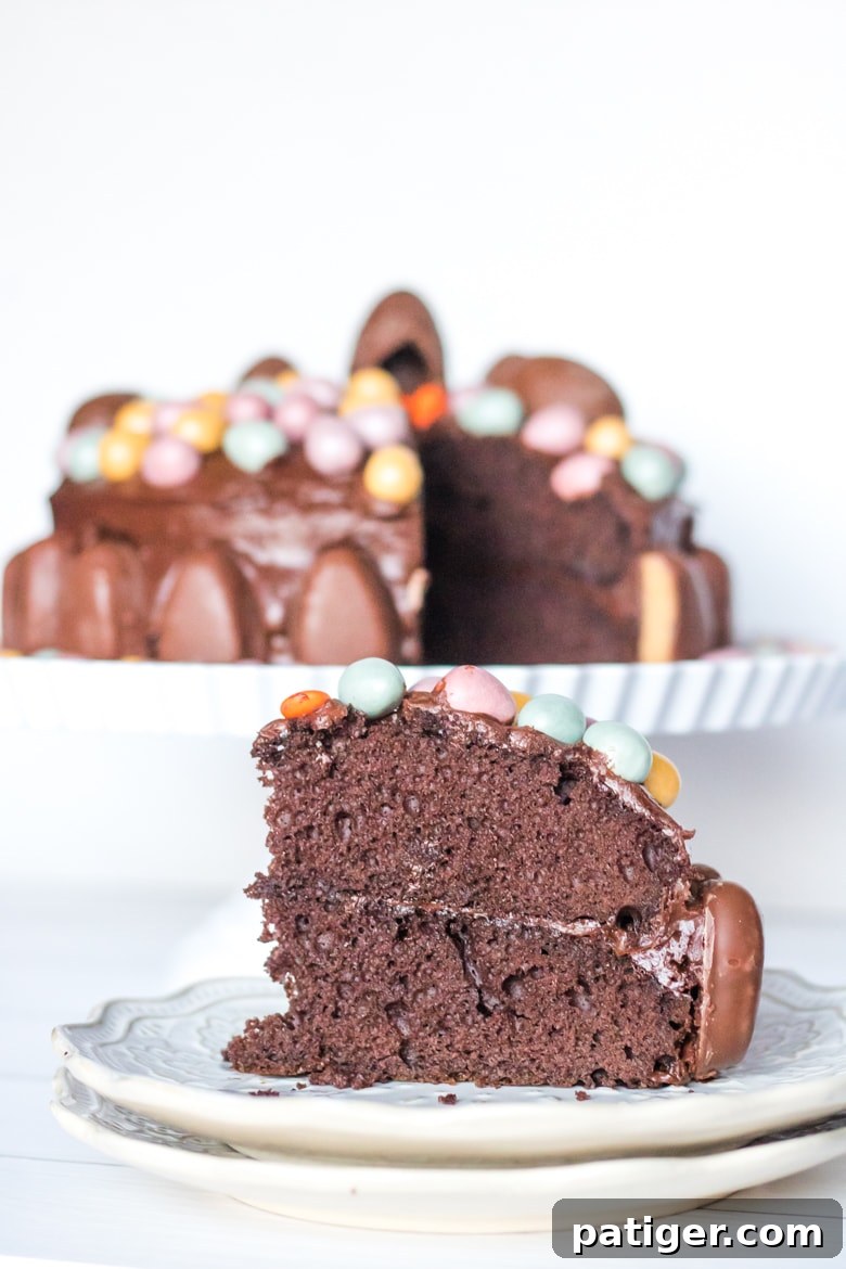 A close-up view of the chocolate Easter candy cake, showcasing the intricate arrangement of Cadbury and REESE’S eggs, creating a truly festive and appetizing dessert.