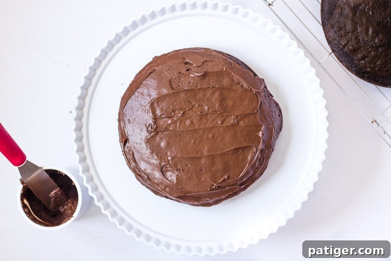 A round chocolate cake being frosted with whipped chocolate frosting, ready for the second layer and final decorations.