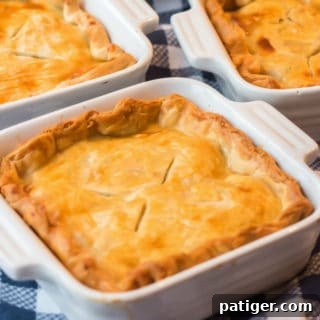 Comforting Individual Chicken Pot Pies 8 individual chicken pot pie recipe