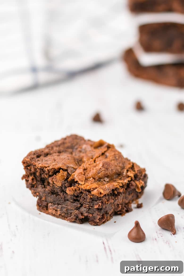 One Bowl Brownies Recipe - A close-up of a pan of freshly baked, fudgy brownies with chocolate chips.