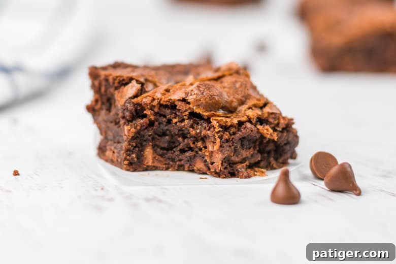 Best Fudgy Brownie Recipe - A perfectly cut square of fudgy brownie with visible chocolate chips.