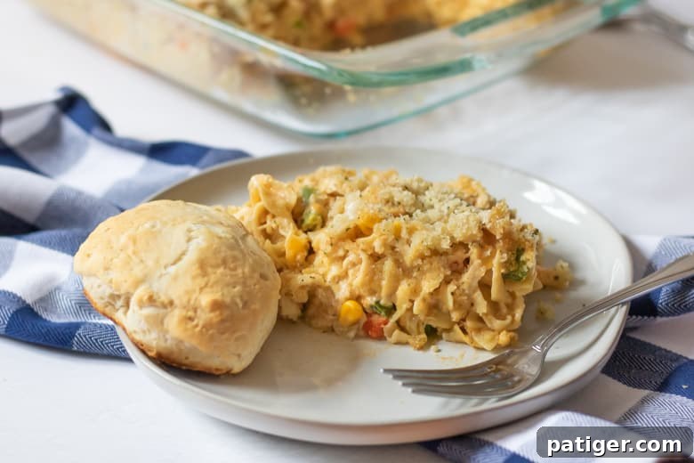 Chicken Noodle Casserole Recipe - A hearty and easy-to-make dish with chicken, egg noodles, and creamy sauce, topped with crunchy panko.