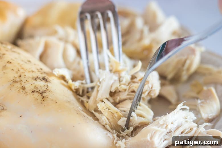 Pulling cooked cooked chicken with two forks