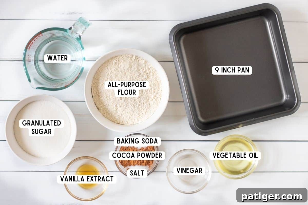 Flour, cocoa, sugar, water, oil, vanilla, vinegar, salt, baking soda, and square pan.