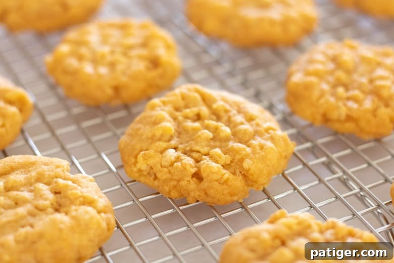 Freshly baked cheesy cookies cooling on a wire rack after being removed from the oven