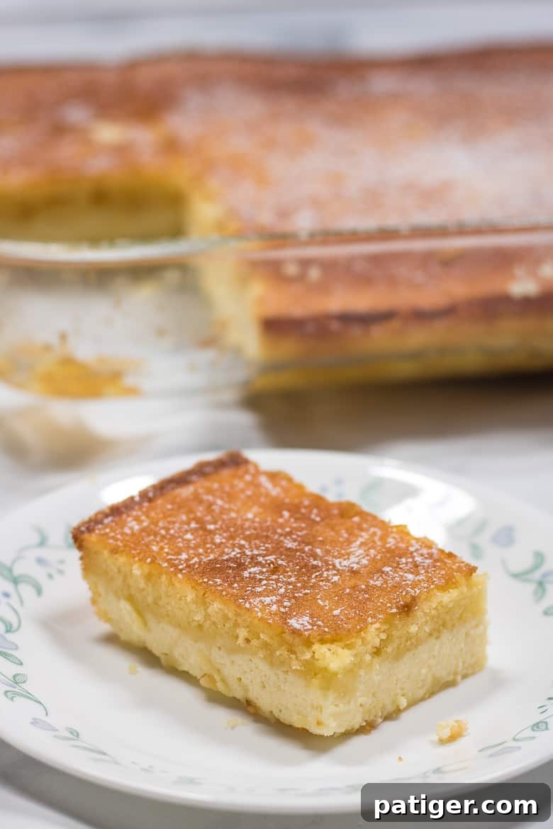 Effortless Ricotta Cake 2 Easy Italian Ricotta Cake with a layer of creamy ricotta cheesecake topped with a golden-brown cake layer and a dusting of powdered sugar.