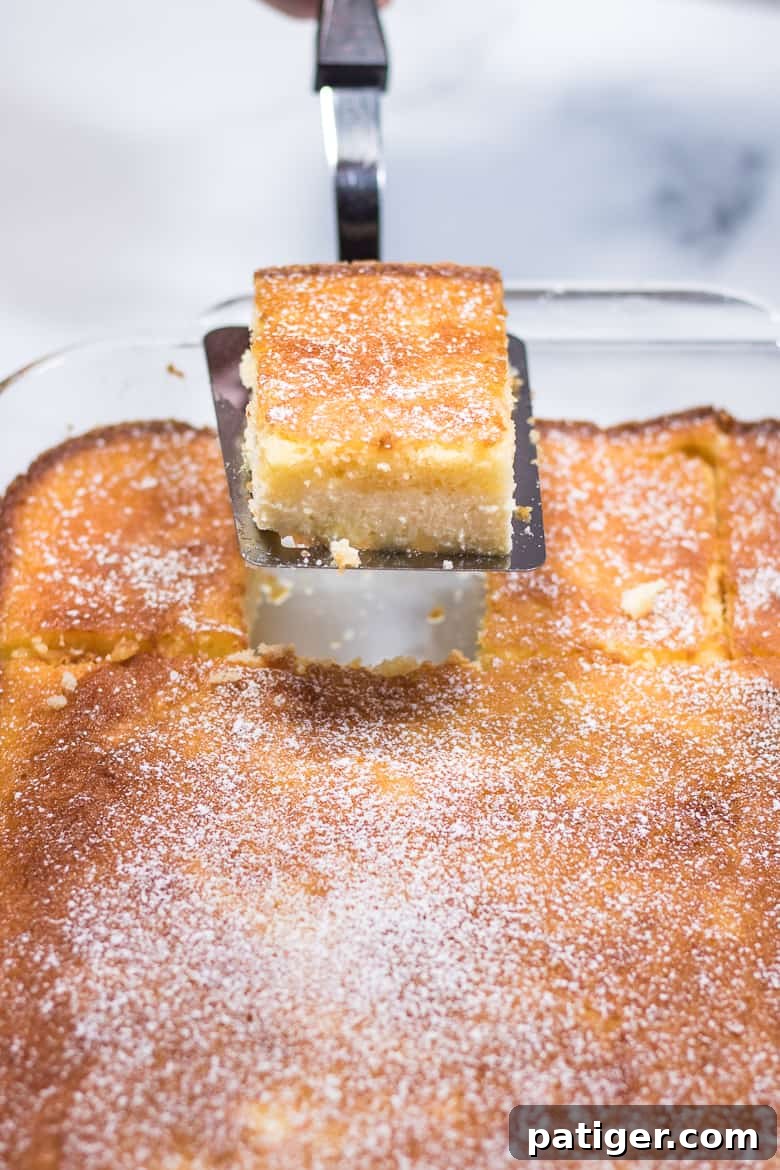 Effortless Ricotta Cake 3 A slice of moist ricotta cake being gently removed from a glass baking dish with a spatula, showcasing its distinct layers.