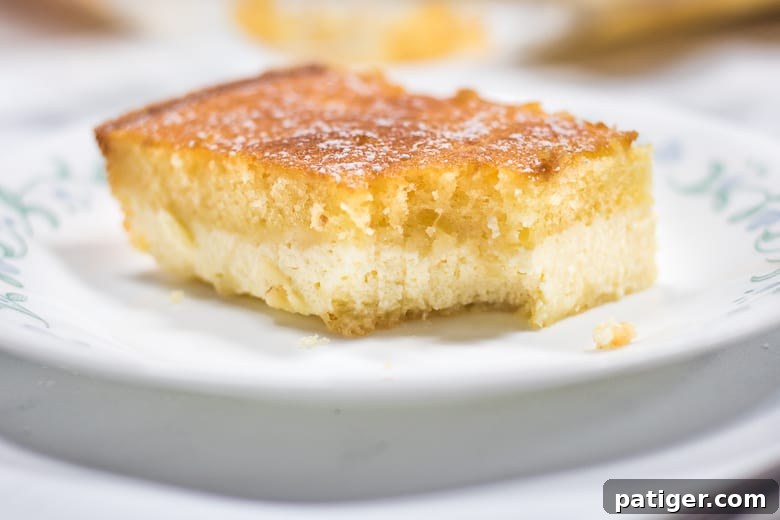 Effortless Ricotta Cake 7 A delectable slice of ricotta cheesecake on a white plate, with a small bite taken out, revealing its moist cake and creamy filling layers.