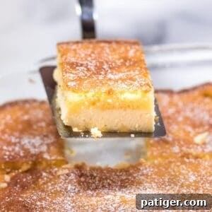 Effortless Ricotta Cake 8 A slice of cake being removed from the pan with a spatula, highlighting the creamy texture and inviting appearance.