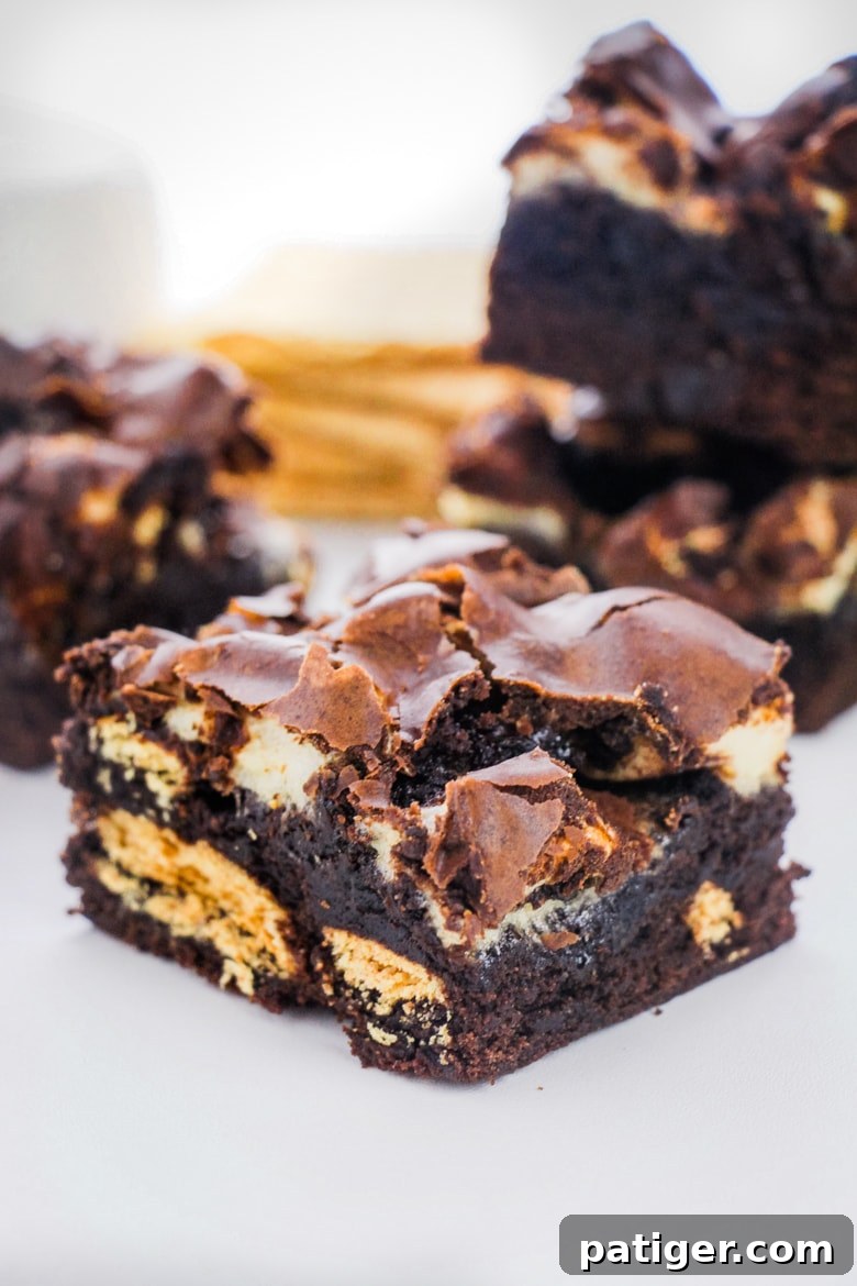 Campfire Smores Brownies 2 Delicious S'mores Brownies cooling on a rack, showcasing gooey marshmallows and graham crackers.