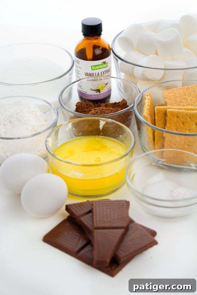 Campfire Smores Brownies 3 Collection of main ingredients for S'mores Brownies: butter, sugar, eggs, vanilla, flour, cocoa powder, salt, baking powder, chocolate chips, marshmallows, and graham crackers.