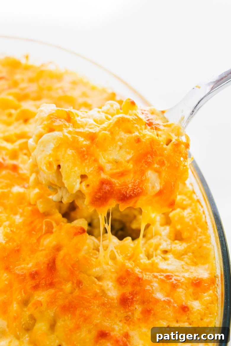 Spoonful of golden, bubbly cheesy baked macaroni and cheese being lifted from a baking dish