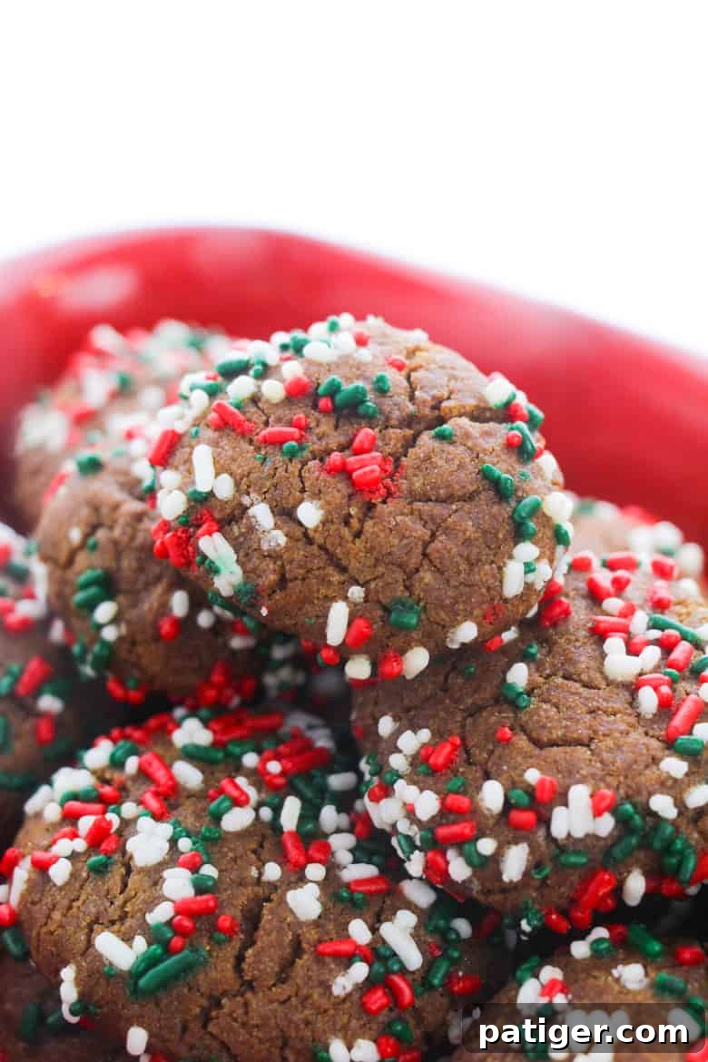 Pillowy Soft Gingerbread Cookies 2 Christmas Gingerbread Cookies with Sprinkles