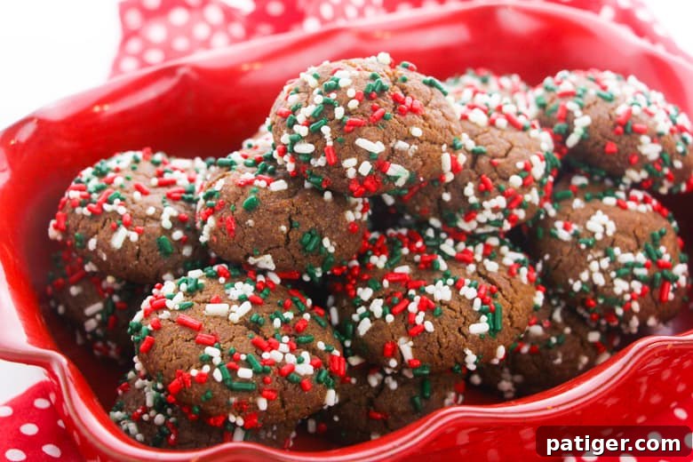 Pillowy Soft Gingerbread Cookies 5 Soft and Chewy Gingerbread Cookies