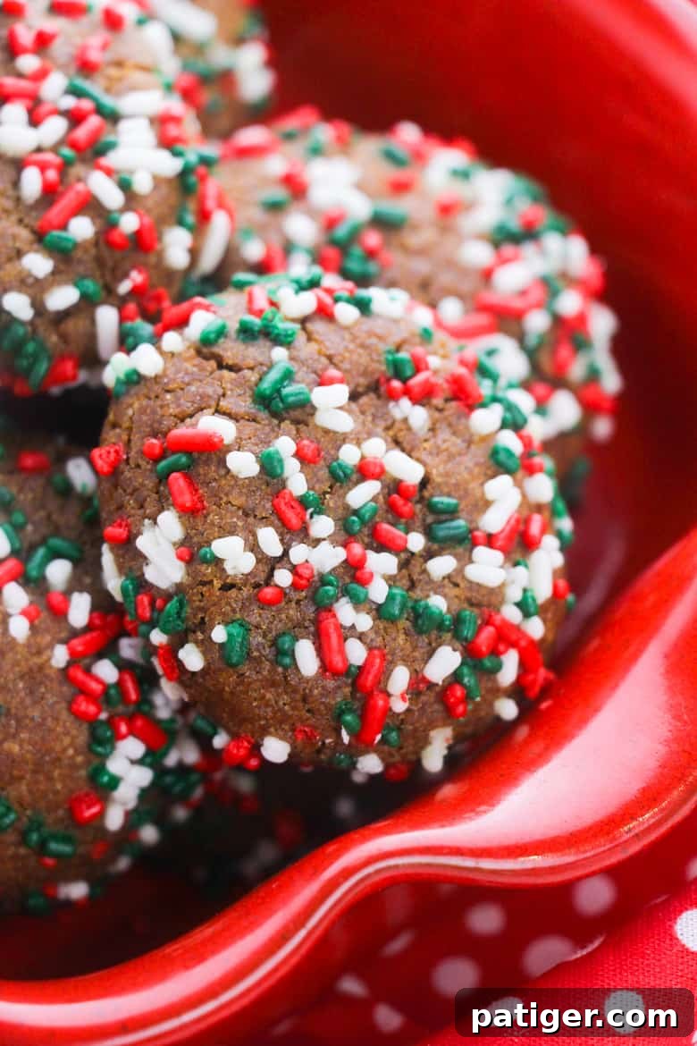 Pillowy Soft Gingerbread Cookies 7 Soft Gingerbread Cookie Recipe