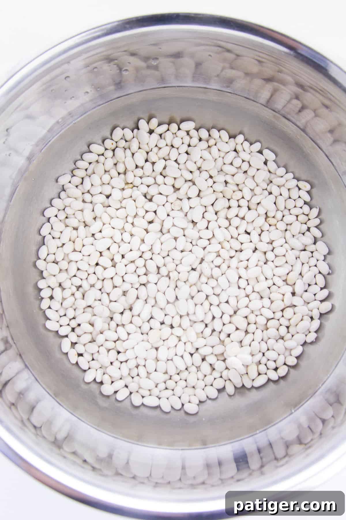 Ultimate Boston Baked Beans 5 Dry white navy beans in stainless steel pot.