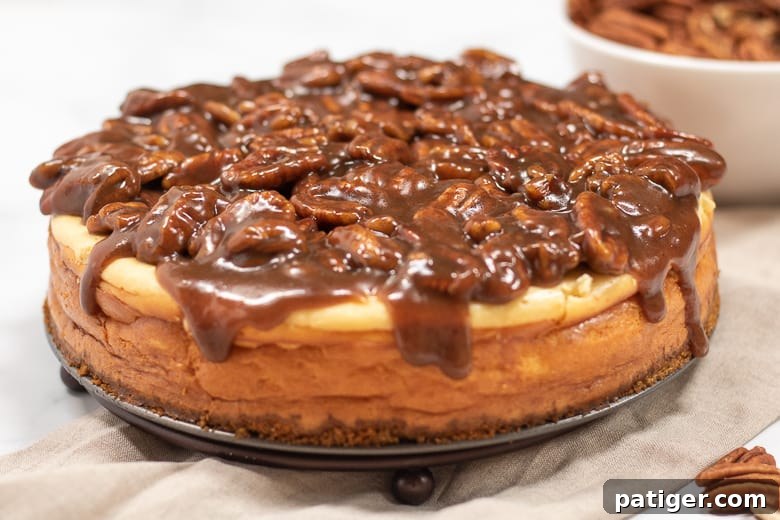 A perfectly cooled homemade Pecan Pie Cheesecake adorned with its luscious topping, ready for chilling.