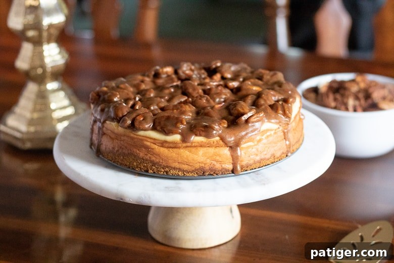 Thanksgiving Pecan Pie Cheesecake, exquisitely prepared and presented, ready for the holiday table.