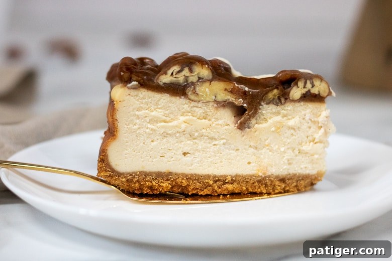 A perfectly cut slice of homemade pecan cheesecake, showcasing the distinct layers of crust, filling, and topping.