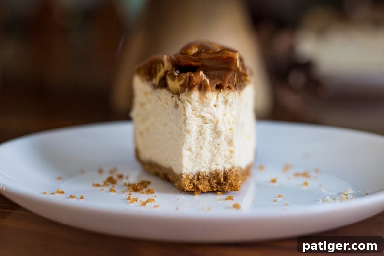 Close-up of a delectable slice of Pecan Pie Cheesecake with a bite taken out, showcasing its rich texture and decadent layers.