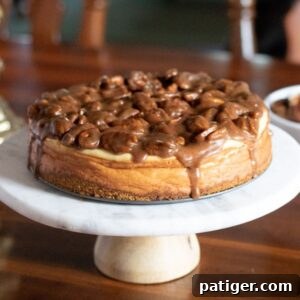 Pecan Pie Cheesecake
