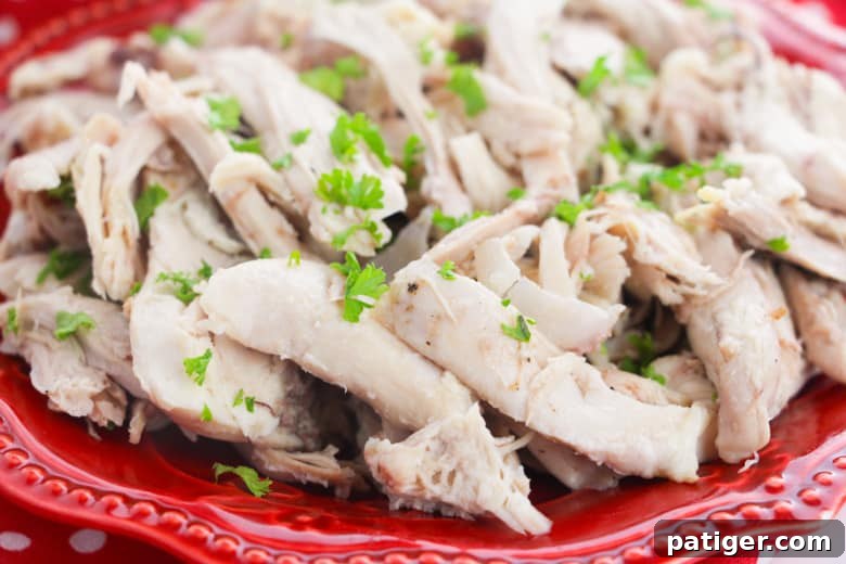 Thick pieces of perfectly shredded poached chicken leg meat on a vibrant red plate, ready for various culinary uses.