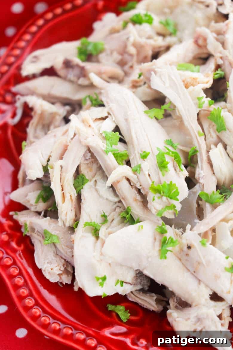 Finely pulled chicken meat arranged neatly on a vibrant red plate, garnished with fresh parsley, highlighting its readiness for various dishes.